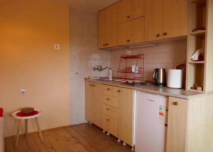 Za Dvoje U Planinskoj Kuci Savic Apartamento *